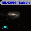 [DLM2003] Tadpole 27