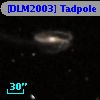 [DLM2003] Tadpole 28