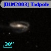 [DLM2003] Tadpole 29