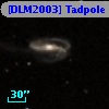 [DLM2003] Tadpole 32