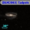 [DLM2003] Tadpole 33