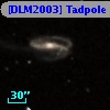 [DLM2003] Tadpole 34