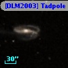 [DLM2003] Tadpole 35