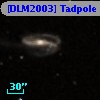 [DLM2003] Tadpole 36