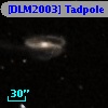 [DLM2003] Tadpole 38
