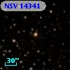 NSV 14341