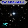 TYC 3630-960-1