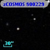 zCOSMOS 800229