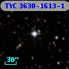 TYC 3630-1613-1