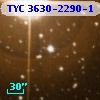 TYC 3630-2290-1