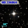 HD 236064