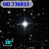 HD 236033