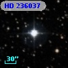 HD 236037