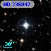 HD 236042