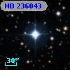 HD 236043