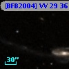 [BFB2004] VV 29 3619