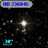 HD 236045