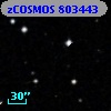 zCOSMOS 803443