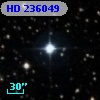 HD 236049