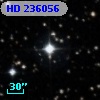 HD 236056