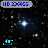 HD 236055