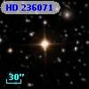 HD 236071