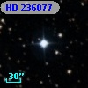 HD 236077