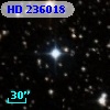 HD 236018