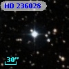 HD 236028