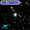 HD 236029