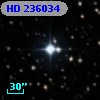 HD 236034