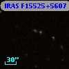 IRAS F15525+5607