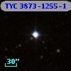 TYC 3873-1255-1