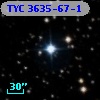 TYC 3635-67-1