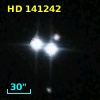 HD 141242