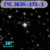 TYC 3635-175-1