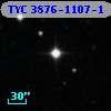 TYC 3876-1107-1