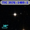 TYC 3876-1409-1