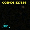 COSMOS J100144.84+015130.6