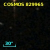 zCOSMOS 810061