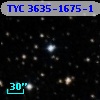 TYC 3635-1675-1