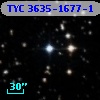 TYC 3635-1677-1