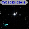 TYC 3213-220-1