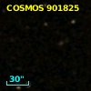 COSMOS J100037.68+015219.3