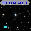 TYC 3213-291-1