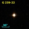 G 239-22