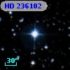 HD 236102