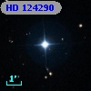 HD 124290