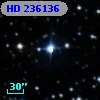 HD 236136