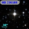 HD 236109